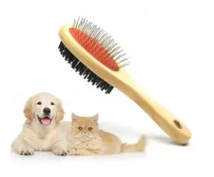 brosse pour chien et chat