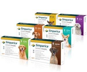 simparica antiparasitaire pour chiens