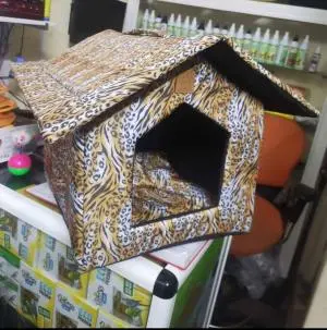 Maison chat