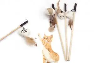 jouet pour chats