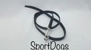 Accessoires pour chien