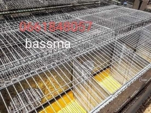 Vente cage lapin