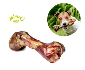 Os de jambon pour chien