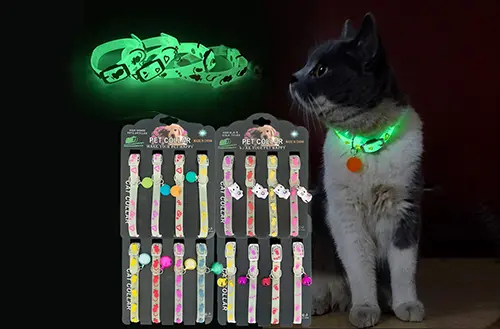 Collier lumineux pour chat et chiot