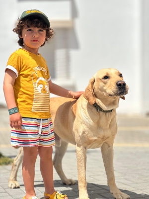 Labrador