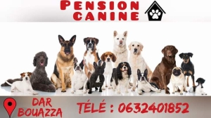 Hôtel pour chiens