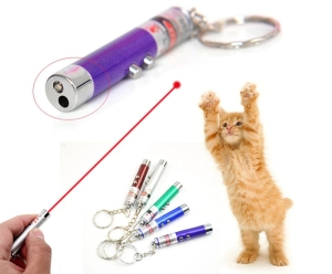 jouet laser pour chat