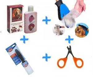 pack de toilettage pour chat et chien