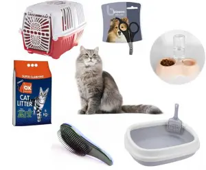 Pack essentiel pour nouveau chat