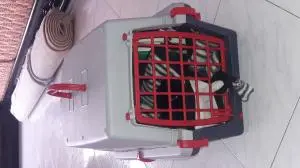 cage pour chat