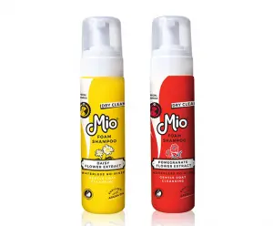 Shampooing sec pour chat et chien