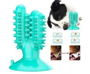 Jouets cactus en caoutchouc naturel pour chiens