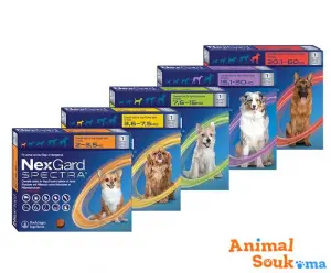 Nexgard spectra pour chiens