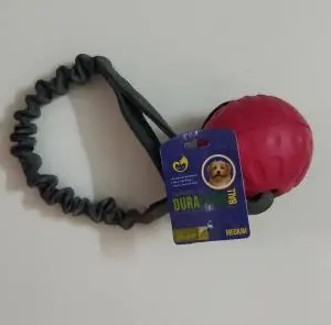 Ball Dréssage
