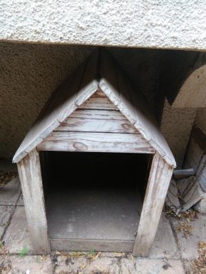 Une niche pour chien en bois
