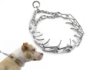 collier étrangleur à pointe pour chien