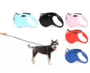 laisse retractable pour chien