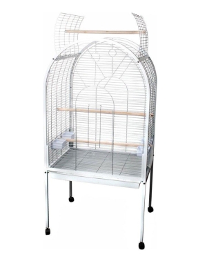 Cage perroquet Casablanca