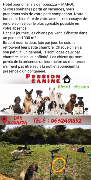 Hôtel pour chiens