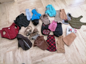 Vêtements pour chiens de petite taille