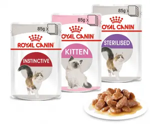 Sauce pâté Royal canin pour chat stérilisé kitten et adulte