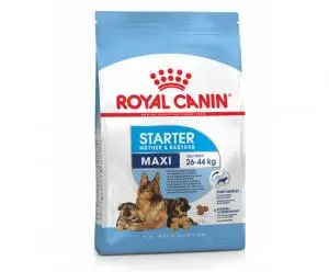 Royal Canin Maxi Starter Pour Chienne Et Chiots 1kg