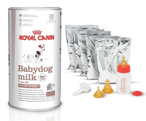 Lait maternisé Royal Canin Babydog pour chiot